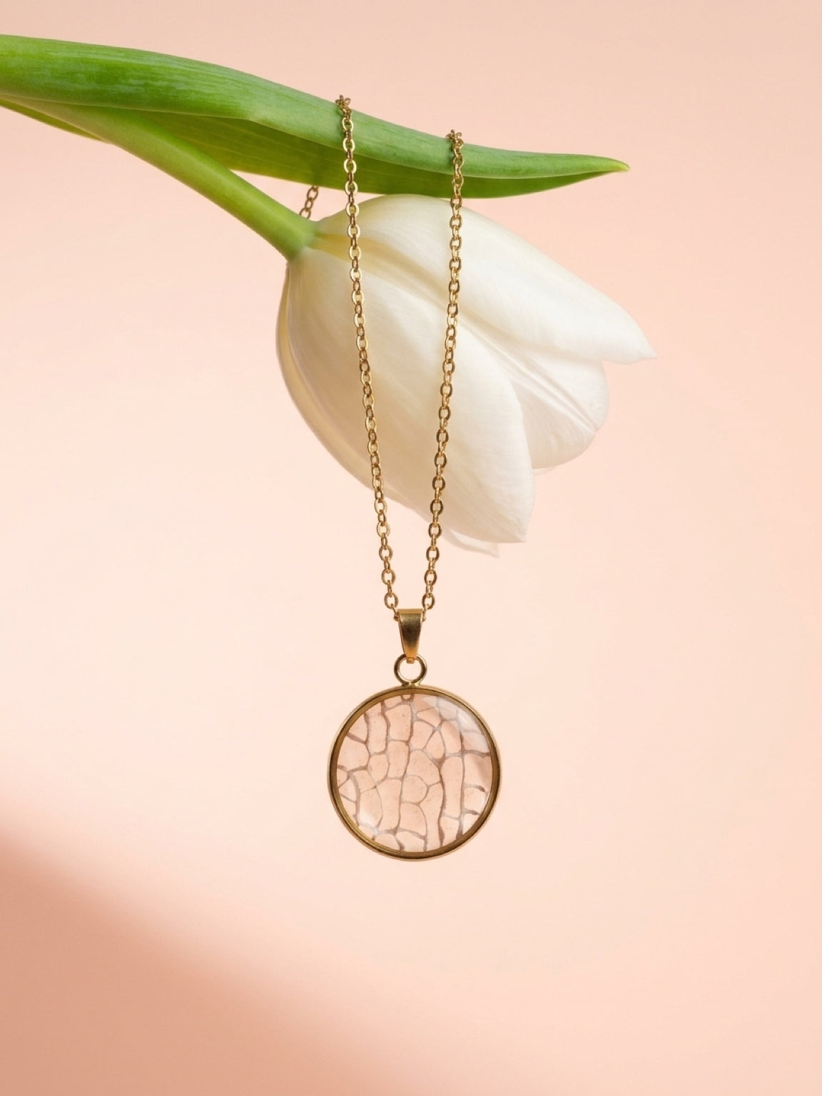 Off White sea fan circle pendant on a gold plated chain