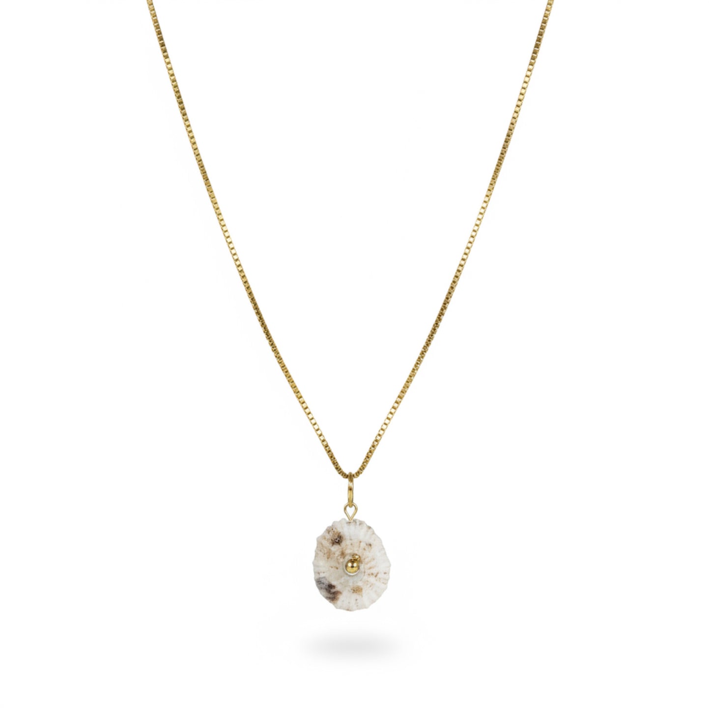 Seashell Drop Necklace